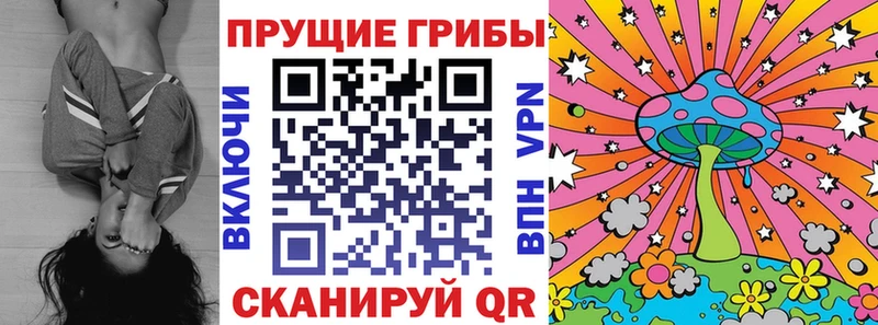 цена Кохма Псилоцибиновые грибы Psilocybe